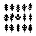 stylized set of diverse leaf silhouettes ideal for creative graphic projects Royalty Free Stock Photo