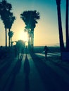 Stylized silhouette photo of palm trees at sunset at Venice Beach USA