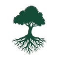 a stylized silhouette of a tree with a complex root system Royalty Free Stock Photo