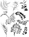 Stylized silhouettes of branches and decorative pl