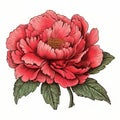 Sophisticated Woodblock Illustration Of A Beautiful Red Peony Flower