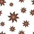 Stylized star anise seamless pattern. Brown elements on white background.