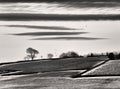 Stylized stark monochrome bleak winter landscape with snow covered fields with black stone walls and crows flying over bare trees