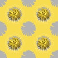 Stylized succulents in gray and lemon yellow shades. Seamless pattern with decorative elements