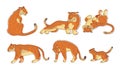 Stylized Tiger Animal in Different Poses Vector Set