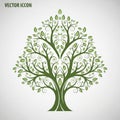 Color scheme is predominantly green enhancing the natural motif of Royalty Free Stock Photo