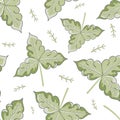 Stylized trio of oak leaves and sprigs vector seamless pattern background. Green white hand drawn leaf design in arts Royalty Free Stock Photo