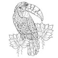 Stylized tropical bird.Hand drawn vector