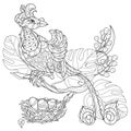 Stylized tropical bird.Hand drawn vector