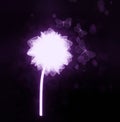 Stylized unusual glowing violet Flower with Buterflies. Magic cosmic flower