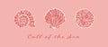 Stylized various shell design illustrations on pink background with Call of the Sea quote Royalty Free Stock Photo