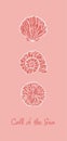 Stylized various shell design illustrations on pink background with Call of the Sea quote Royalty Free Stock Photo