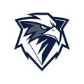 Bold Eagle Head Vector Logo in Shield Shape with Aggressive Expression Royalty Free Stock Photo