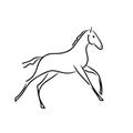 Stylized vector image of a galloping foal Royalty Free Stock Photo