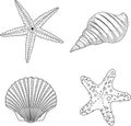 Stylized vector shell zentangle doodle Royalty Free Stock Photo