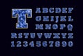 Stylized vector sparkling jeweled Blue Topaz precious stone fancy latin abc alphabet typography. Use letters to make
