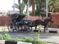 Stylized vintage carriage drawn by horse