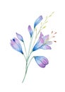 Stylized watercolor blue flowers,agapanthus bouquet.