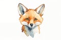 Stylized Watercolor Fox Royalty Free Stock Photo