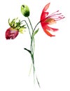 Stylized wild flowers