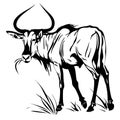 Dynamic black and white wildebeest illustration