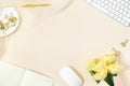 Stylized women`s Desk, office Desk. Workspace with a computer, a bouquet of yellow tulips, clipboard. Women`s fashion accessorie Royalty Free Stock Photo
