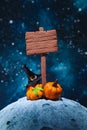 Stylized wooden signpost, witch hat and pumpkins on the moon Royalty Free Stock Photo