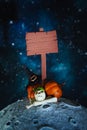 Stylized wooden signpost, witch hat and pumpkins on the moon Royalty Free Stock Photo