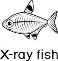 Stylized X-ray fish or Pristella maxillaris coloring page with title