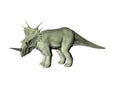 Styracosaurus Royalty Free Stock Photo