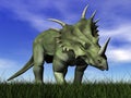 Styracosaurus dinosaur - 3D render