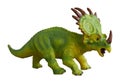 Styracosaurus dinosaur on  white background Royalty Free Stock Photo