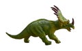 Styracosaurus dinosaur on isolated white background