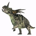 Styracosaurus Dinosaur over White