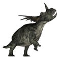 Styracosaurus dinosaur roaring - 3D render