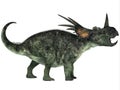 Styracosaurus Profile