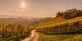 Styrian summer landscape