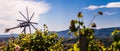 Styrian Tuscany like Vineyard with windmill, Panorama of grape crops in Slovenia spicnik Royalty Free Stock Photo