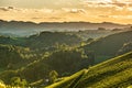 Styrian Tuscany Vineyard in autumn near South Styria, Rabenland