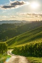 Styrian Tuscany Vineyard in autumn near South Styria, Rabenland