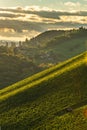 Styrian Tuscany Vineyard in autumn near South Styria, Rabenland