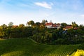 Styrian Tuscany Vineyard in autumn near South Styria, Rabenland