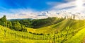 Styrian Tuscany Vineyard panorama in summer day near Eckberg, Gamliz, Styria, Austria