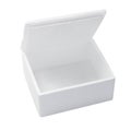 Styrofoam Box Royalty Free Stock Photo