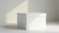 Styrofoam box in a studio with soft natural light, softbox lighting, neutral tone Royalty Free Stock Photo