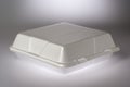 Styrofoam Food Container