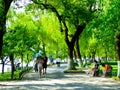 Su Causeway of West Lake Cultural Landscape