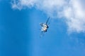 Su-30LL flying laboratory aircraft performs a demonstration flight