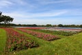 Suan Luang RAMA IX public park