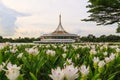 Suanluang RAMA IX